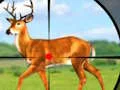 Gêm Wild Hunt Hunting Games 3D ar-lein