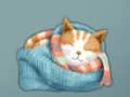 Gêm Adorable Escape Find Cute Kitten ar-lein