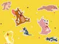 Gêm The Tom and Jerry Show Find it! ar-lein