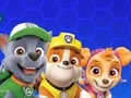 Gêm Paw Patrol ar-lein