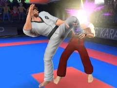 Gêm Karate Fighter ar-lein
