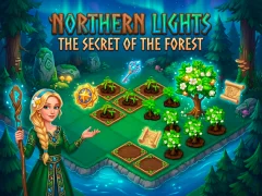 Gêm Northern Lights - The Secret Of The Forest ar-lein