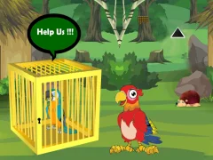 Gêm Release Trapped Macaw Buddy ar-lein