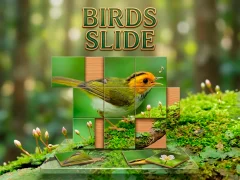 Gêm Birds Slide ar-lein