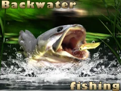 Gêm Backwater Fishing ar-lein
