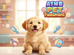 Gêm Asmr Pet Treatment ar-lein