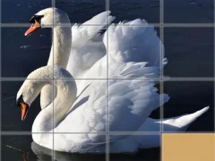 Gêm Animals Slide Puzzle ar-lein