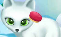 Gêm Paws to Beauty Arctic Edition ar-lein