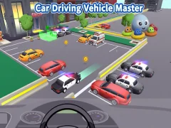 Gêm Car Driving Vehicle Master ar-lein