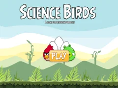 Gêm Science Birds ar-lein