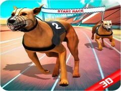 Gêm Crazy Dog Race ar-lein