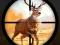 Gêm Wild Hunting Clash ar-lein