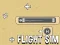 Gêm Flight Sim ar-lein