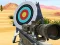 Gêm Hit Targets Shooting ar-lein
