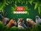 Gêm ZOO Trivia ar-lein