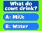Gêm Trivia! Best Family Quiz ar-lein