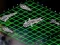 Gêm Intergalactic Battleships ar-lein