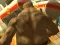 Gêm Monster Simulator ar-lein