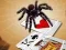 Gêm Jumping Spider ar-lein
