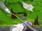 Gêm Monte's Zott: Flight on a spoon ar-lein