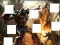 Gêm Transformers 3 image puzzles ar-lein