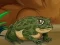 Gêm Frogs Matching ar-lein