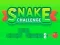 Gêm Snake Challenge ar-lein