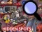 Gêm Hidden Spots In The Room ar-lein