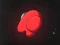 Gêm Second Blink: You Can (Not) Get ar-lein