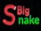 Gêm Big Snake.io ar-lein