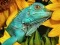 Gêm Ultimate Puzzles Animals 6 ar-lein