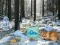 Gêm Winter Wonderland Forest Adventure ar-lein