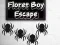Gêm Floret Boy Escape ar-lein