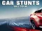 Gêm Car Stunts Sky Tour ar-lein