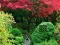 Gêm Maple Leaf Garden Escape ar-lein