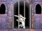 Gêm Victory Rabbit Escape ar-lein