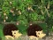 Gêm Escape From Mango Farm ar-lein