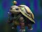 Gêm Isolated Turtle Escape ar-lein