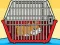 Gêm Rescue The Hamster From Cage ar-lein