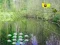 Gêm Sunlight Forest Adventure ar-lein