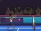 Gêm Badminton Brawl ar-lein