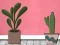 Gêm Find Houseplant ar-lein
