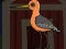 Gêm Cute Godwit Escape ar-lein