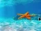 Gêm Escape From Underwater Starfish ar-lein