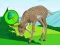 Gêm The Deer Meadow Escape ar-lein
