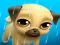 Gêm My Virtual Pet Louie the Pug ar-lein
