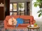 Gêm Wakeup The Grandpa ar-lein