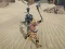 Gêm The Scythian Warrior ar-lein
