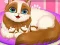Gêm Cute Kitty Pregnant ar-lein