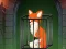 Gêm Fox in the Forgotten Ruins ar-lein